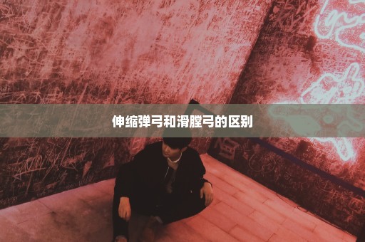 伸缩弹弓和滑膛弓的区别
