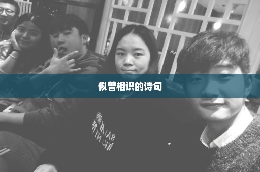 似曾相识的诗句