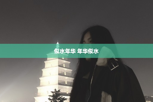 似水年华 年华似水