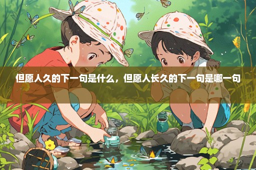 但愿人久的下一句是什么，但愿人长久的下一句是哪一句 