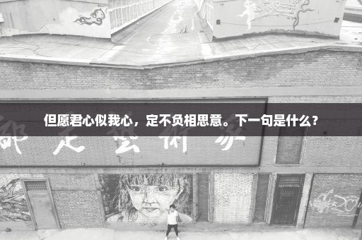 但愿君心似我心，定不负相思意。下一句是什么？