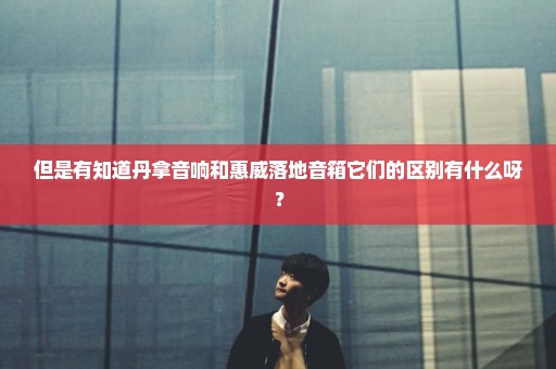 但是有知道丹拿音响和惠威落地音箱它们的区别有什么呀？