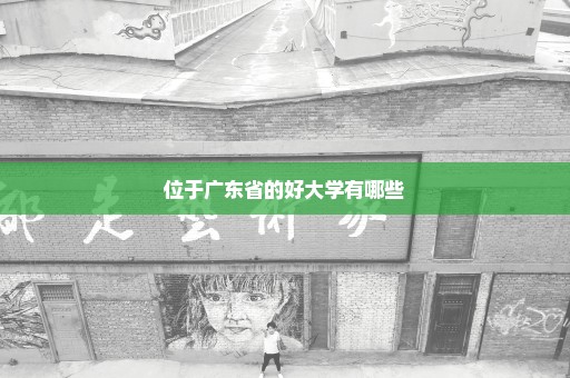 位于广东省的好大学有哪些