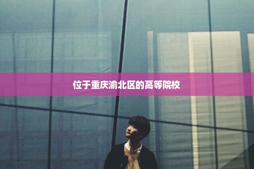位于重庆渝北区的高等院校