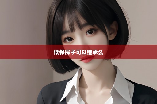 低保房子可以继承么