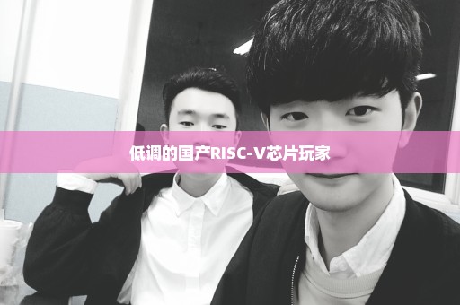 低调的国产RISC-V芯片玩家