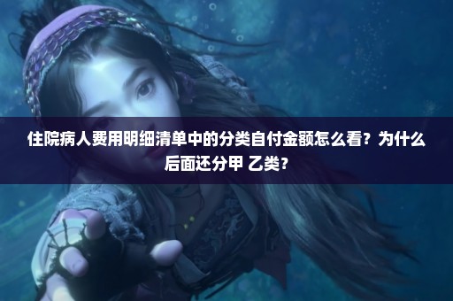 住院病人费用明细清单中的分类自付金额怎么看？为什么后面还分甲 乙类？