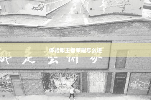 体验服王者荣耀怎么进