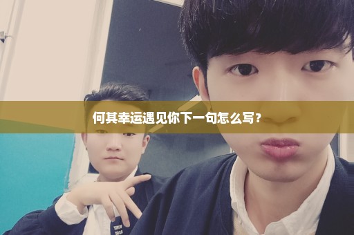 何其幸运遇见你下一句怎么写？