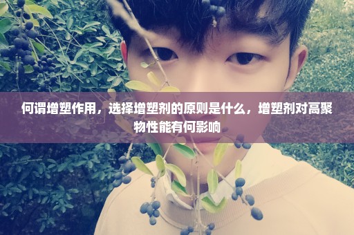 何谓增塑作用，选择增塑剂的原则是什么，增塑剂对高聚物性能有何影响