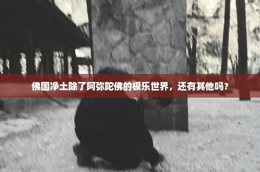 佛国净土除了阿弥陀佛的极乐世界，还有其他吗？