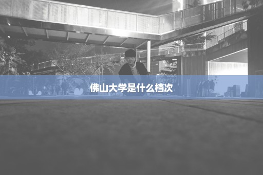 佛山大学是什么档次