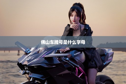 佛山车牌号是什么字母