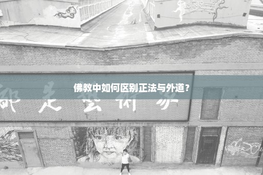 佛教中如何区别正法与外道？