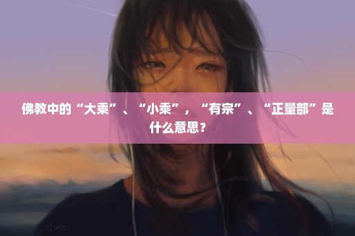 佛教中的“大乘”、“小乘”，“有宗”、“正量部”是什么意思？