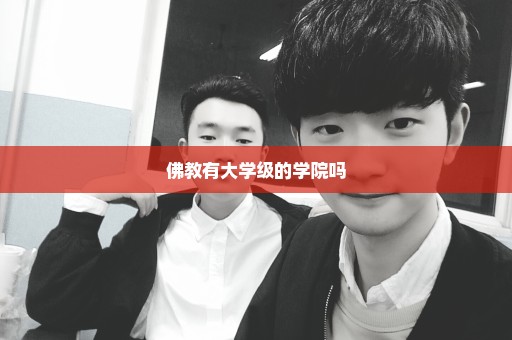 佛教有大学级的学院吗