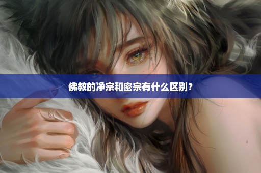 佛教的净宗和密宗有什么区别？