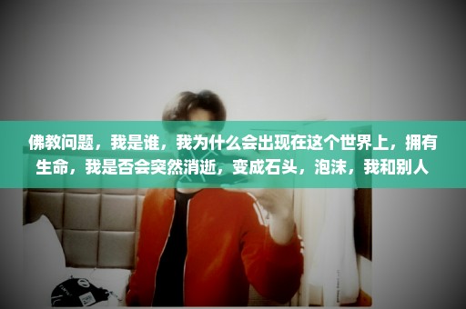佛教问题，我是谁，我为什么会出现在这个世界上，拥有生命，我是否会突然消逝，变成石头，泡沫，我和别人