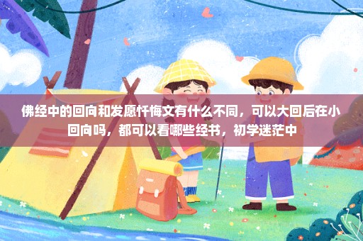 佛经中的回向和发愿忏悔文有什么不同，可以大回后在小回向吗，都可以看哪些经书，初学迷茫中