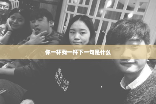 你一杯我一杯下一句是什么