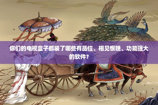 你们的电视盒子都装了哪些有品位、相见恨晚、功能强大的软件？