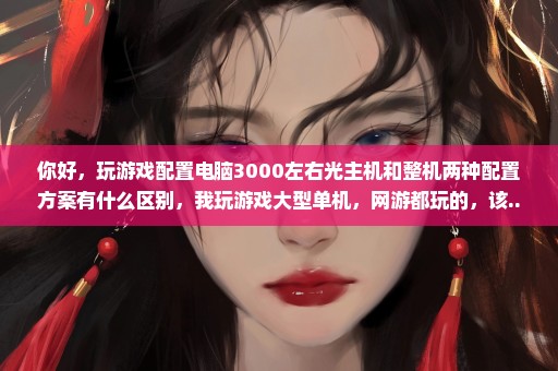 你好，玩游戏配置电脑3000左右光主机和整机两种配置方案有什么区别，我玩游戏大型单机，网游都玩的，该...