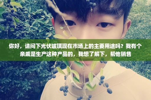 你好，请问下光伏玻璃现在市场上的主要用途吗？我有个亲戚是生产这种产品的，我想了解下，帮他销售