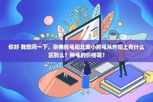 你好 我想问一下，杂佛鳄龟和北美小鳄龟从外观上有什么区别么？种龟的价格呢？