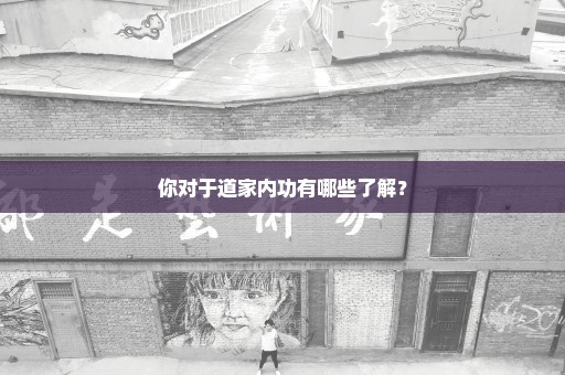 你对于道家内功有哪些了解？
