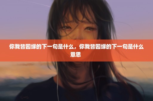 你我皆因缘的下一句是什么，你我皆因缘的下一句是什么意思 