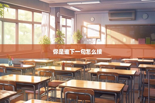 你是谁下一句怎么接