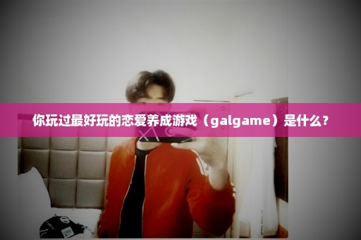 你玩过最好玩的恋爱养成游戏（galgame）是什么？