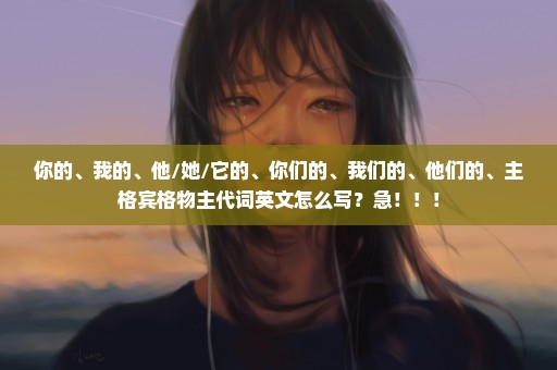 你的、我的、他/她/它的、你们的、我们的、他们的、主格宾格物主代词英文怎么写？急！！！