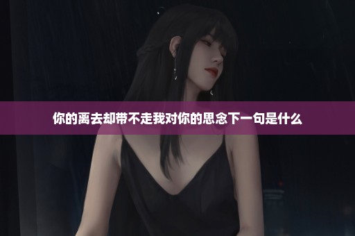 你的离去却带不走我对你的思念下一句是什么
