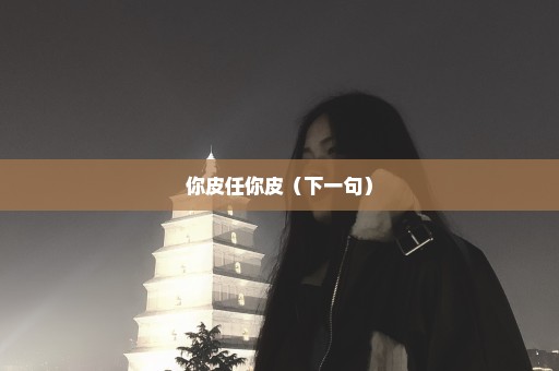 你皮任你皮（下一句）