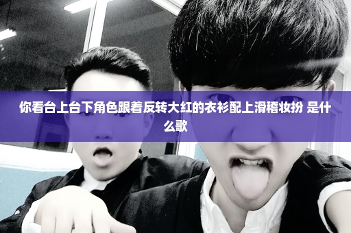你看台上台下角色跟着反转大红的衣衫配上滑稽妆扮 是什么歌