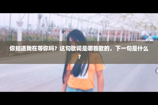 你知道我在等你吗？这句歌词是哪首歌的，下一句是什么？