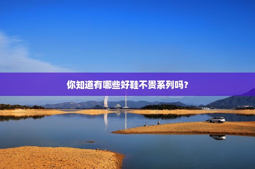 你知道有哪些好鞋不贵系列吗？
