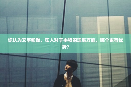 你认为文字和像，在人对于事物的理解方面，哪个更有优势？