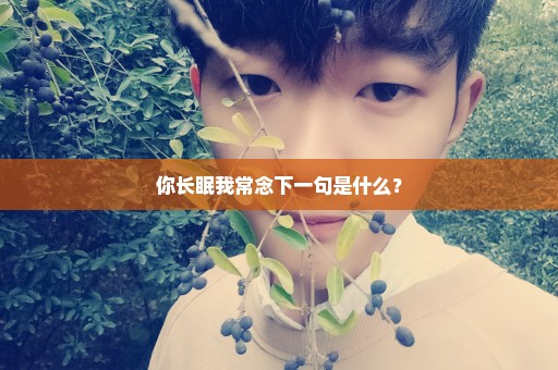 你长眠我常念下一句是什么？