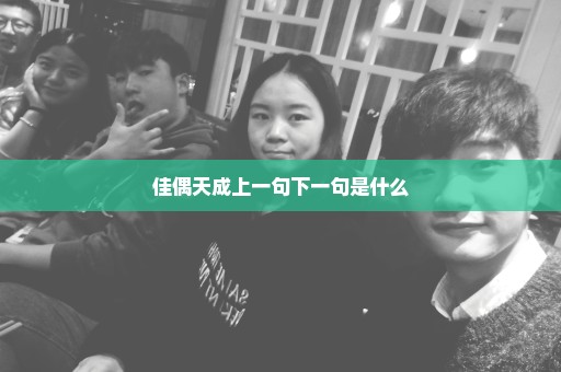 佳偶天成上一句下一句是什么