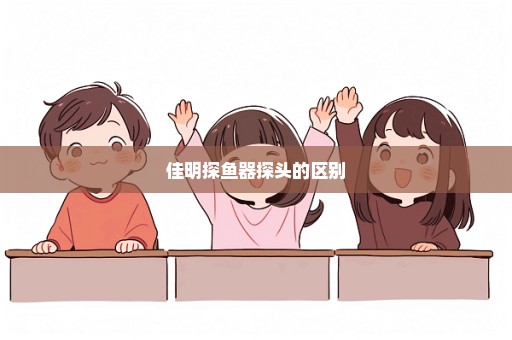 佳明探鱼器探头的区别