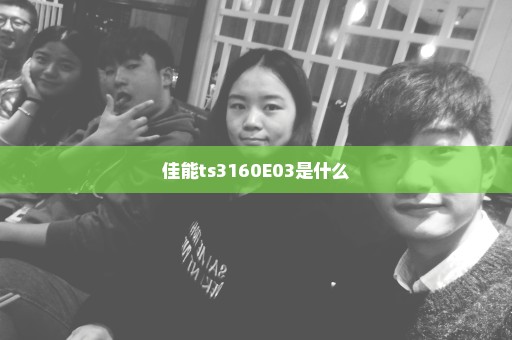 佳能ts3160E03是什么