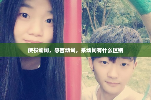 使役动词，感官动词，系动词有什么区别