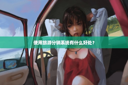 使用旅游分销系统有什么好处？