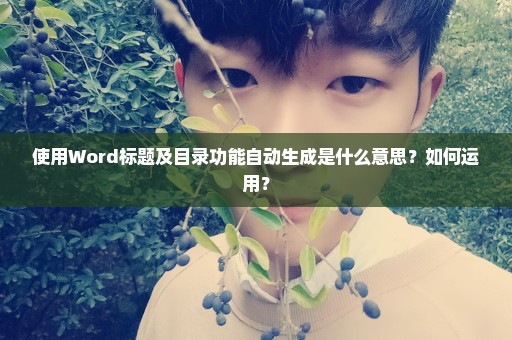 使用Word标题及目录功能自动生成是什么意思？如何运用？