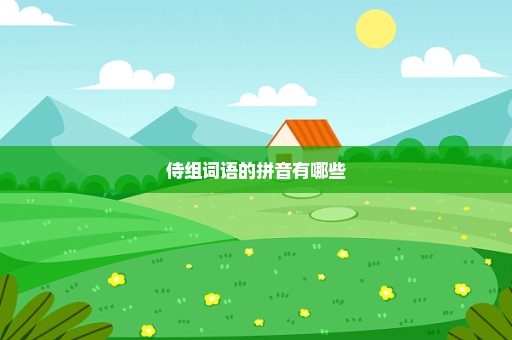 侍组词语的拼音有哪些