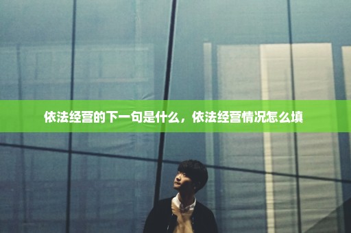 依法经营的下一句是什么，依法经营情况怎么填 