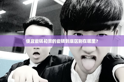 便宜瓷砖和贵的瓷砖到底区别在哪里？