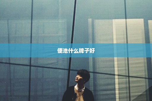 便池什么牌子好